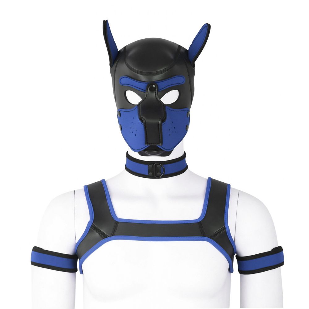 beta-puppy-play-set-pup-hood-bdsm-collar-chest-harness-blue