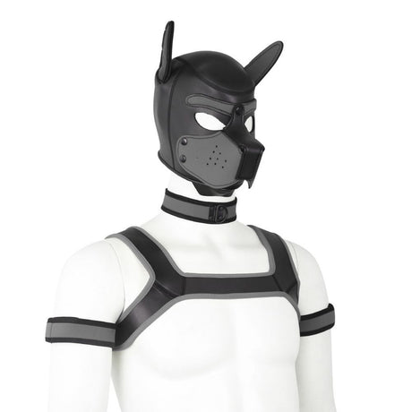 beta-puppy-play-set-pup-hood-bdsm-collar-chest-harness-grey