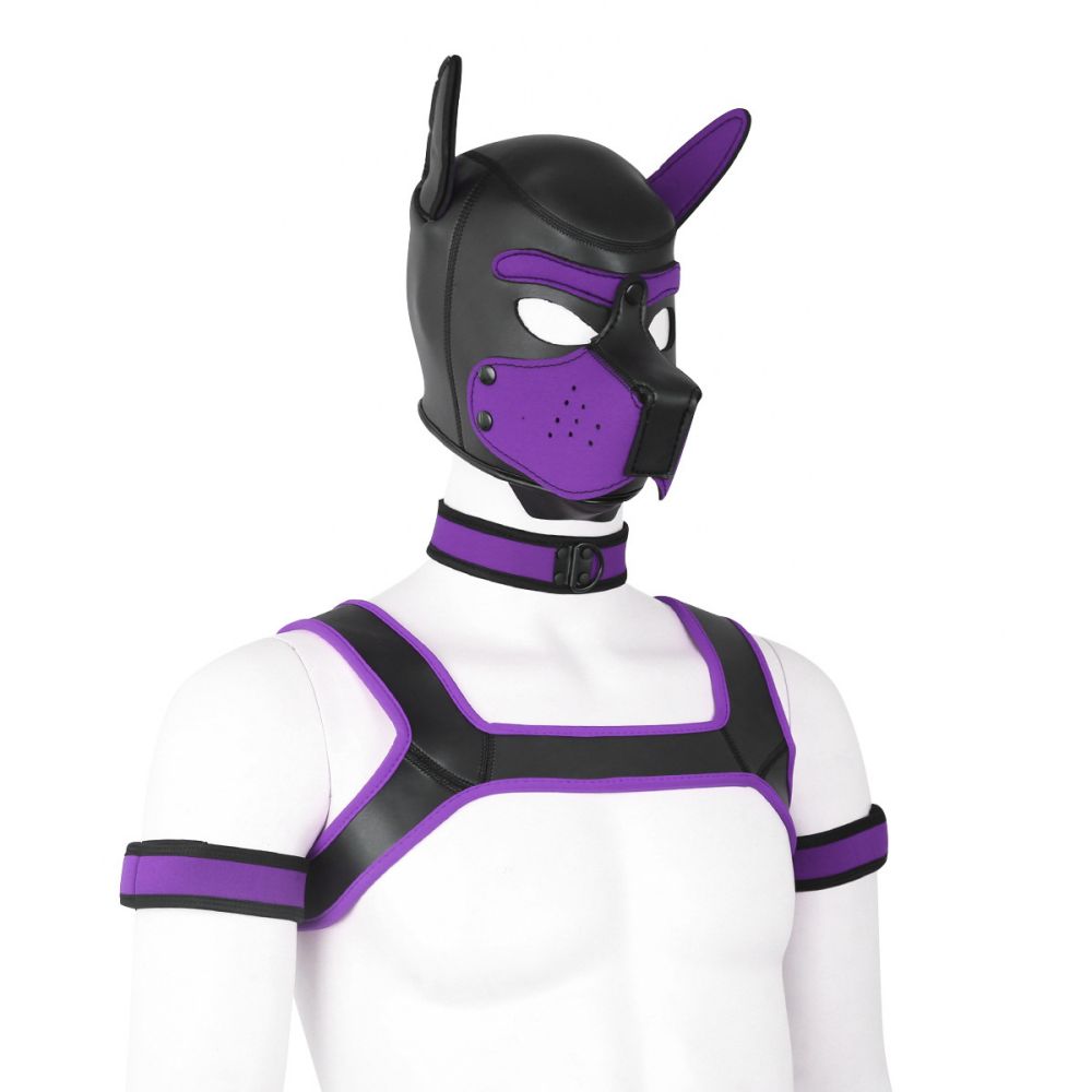 beta-puppy-play-set-pup-hood-bdsm-collar-chest-harness-purple