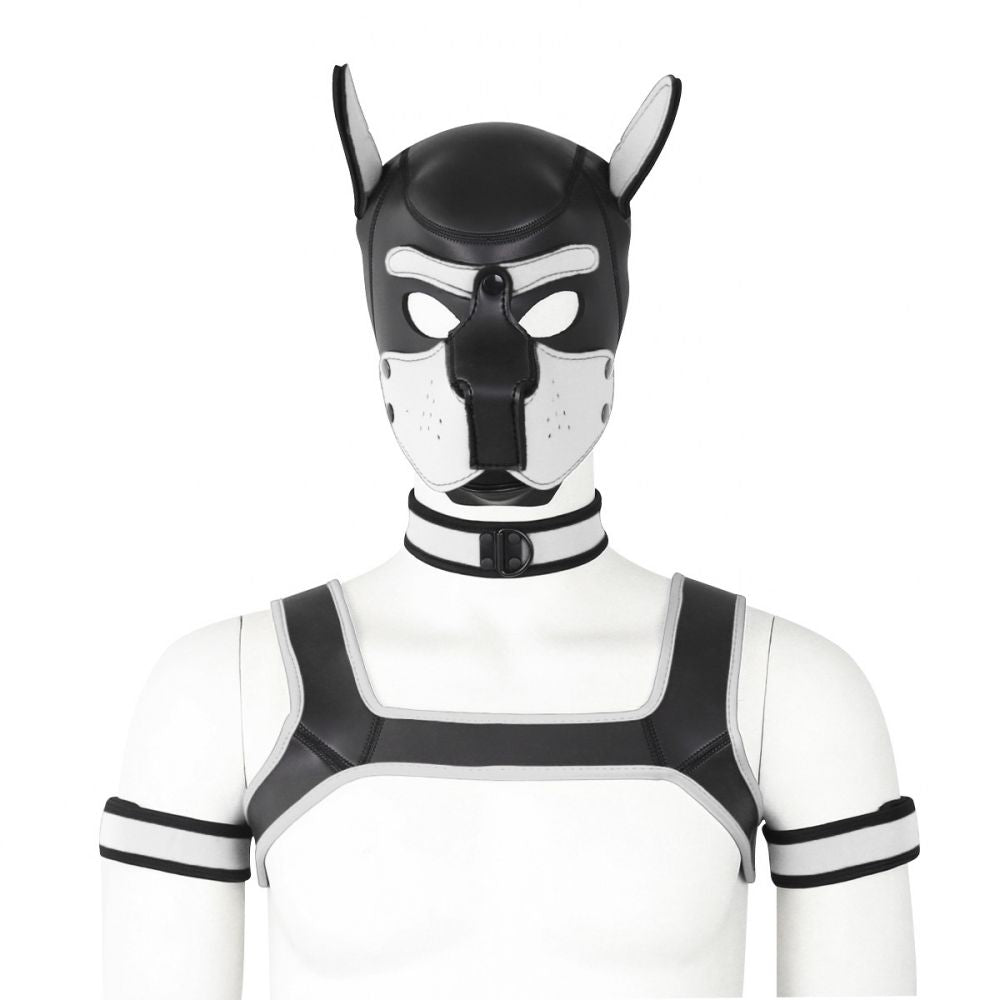 beta-puppy-play-set-pup-hood-bdsm-collar-chest-harness-white